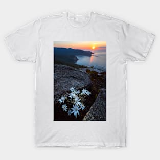 Flannel Flower Sunrise T-Shirt